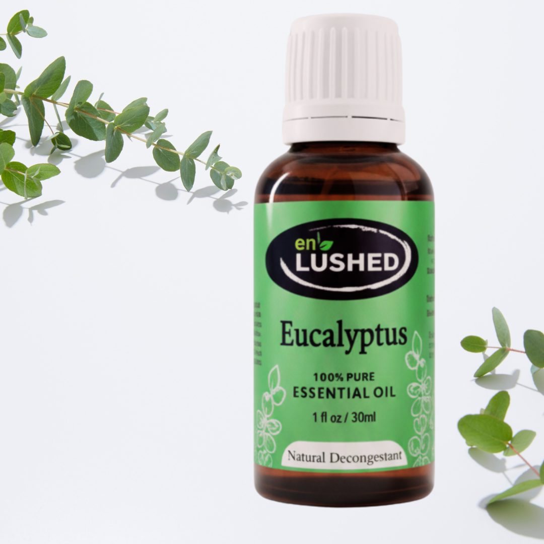 Pure Eucalyptus Essential Oil for Aromatherapy | Natural Decongestant