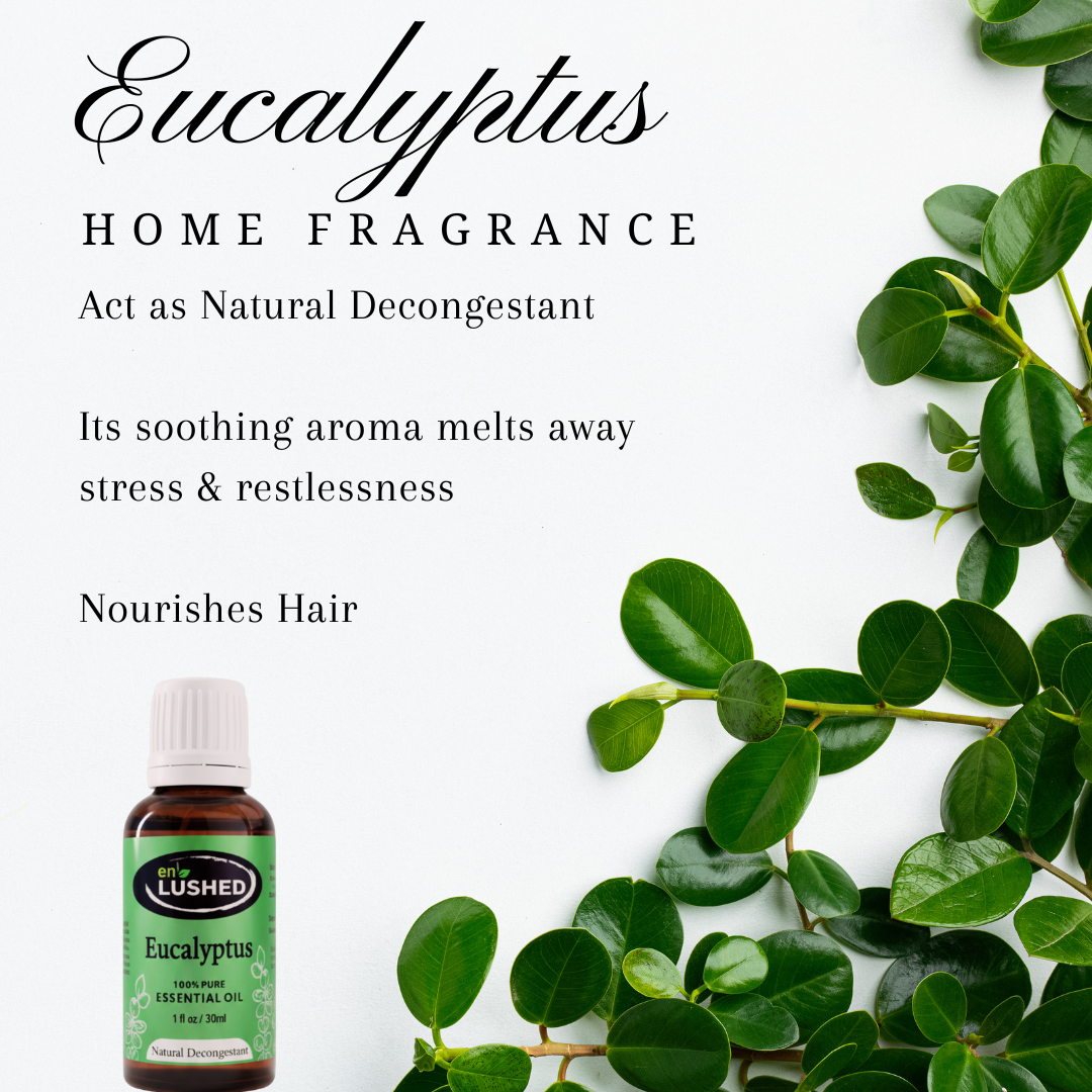 Pure Eucalyptus Essential Oil for Aromatherapy | Natural Decongestant