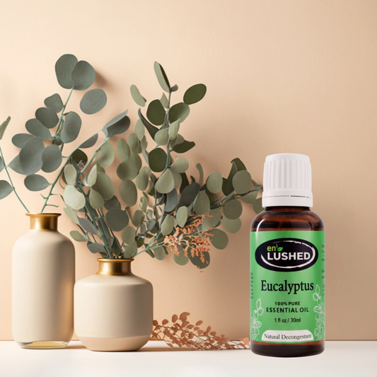 Pure Eucalyptus Essential Oil for Aromatherapy | Natural Decongestant