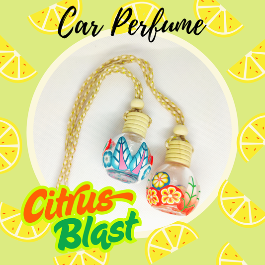 ENLUSHED Herbal Car Freshener Hanging Pods | Citrus Blast | Lime & Lemon Essential Oil-Based for Natural Rejuvenation | Aromatherapy on the Move | Relaxing & Soothing Fragrance for Car & SUV